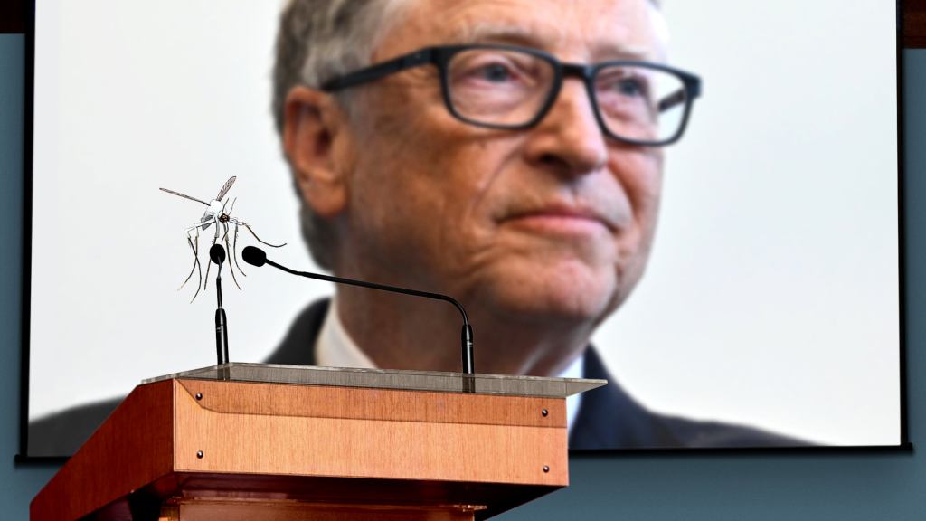 Mosquito Scientists Announce Plans To Eradicate Bill Gates