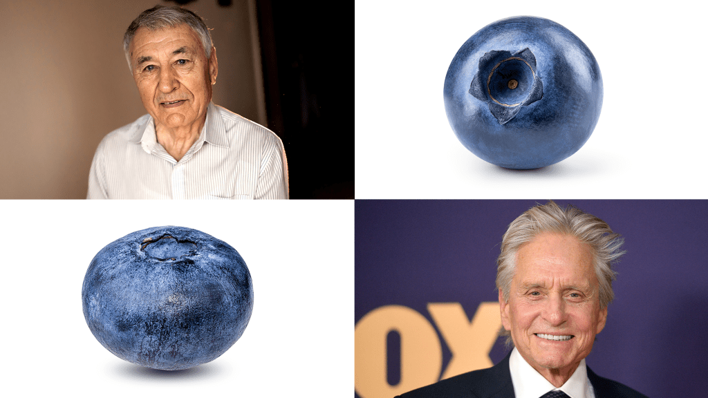 The Onion’s AI-Generated Content Presents All Men And Blueberries In Chronological Order