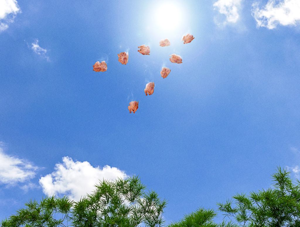 Heatwave Causes Roast Birds To Fall To Earth In Perfect V-Formations