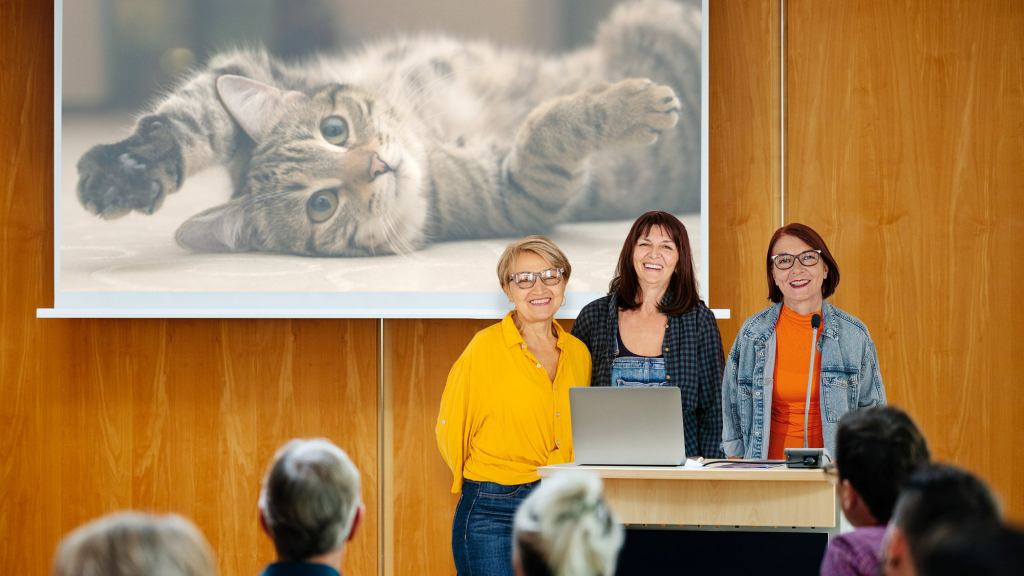 Single Aunt Study Finds 100% Of Cats Angels On Earth