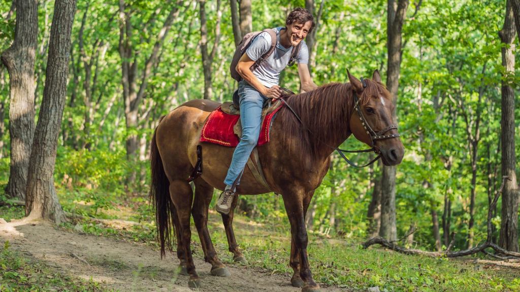 Amateur Equestrian Still Has To Use Horse With Training Legs