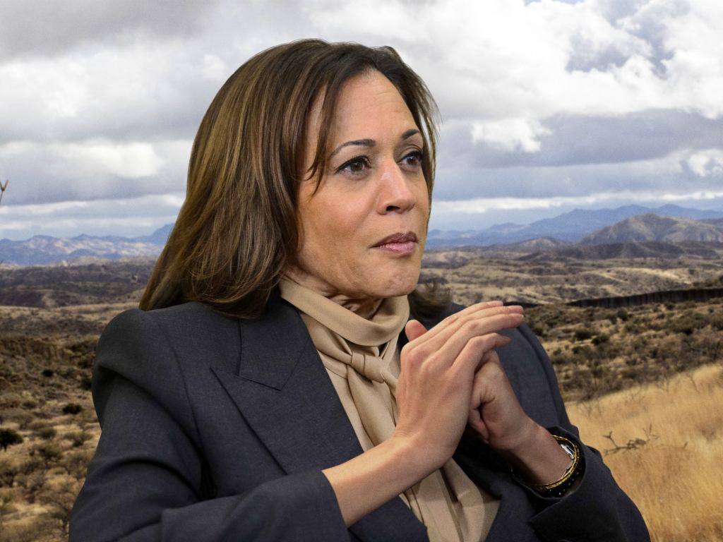 Kamala Harris Stands At Border Punching Empty Palm With Fist