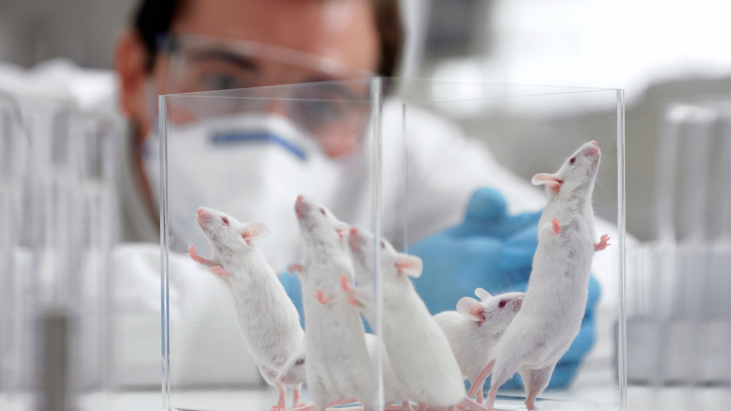 Scientists Successfully Teach Mice To Hate Women