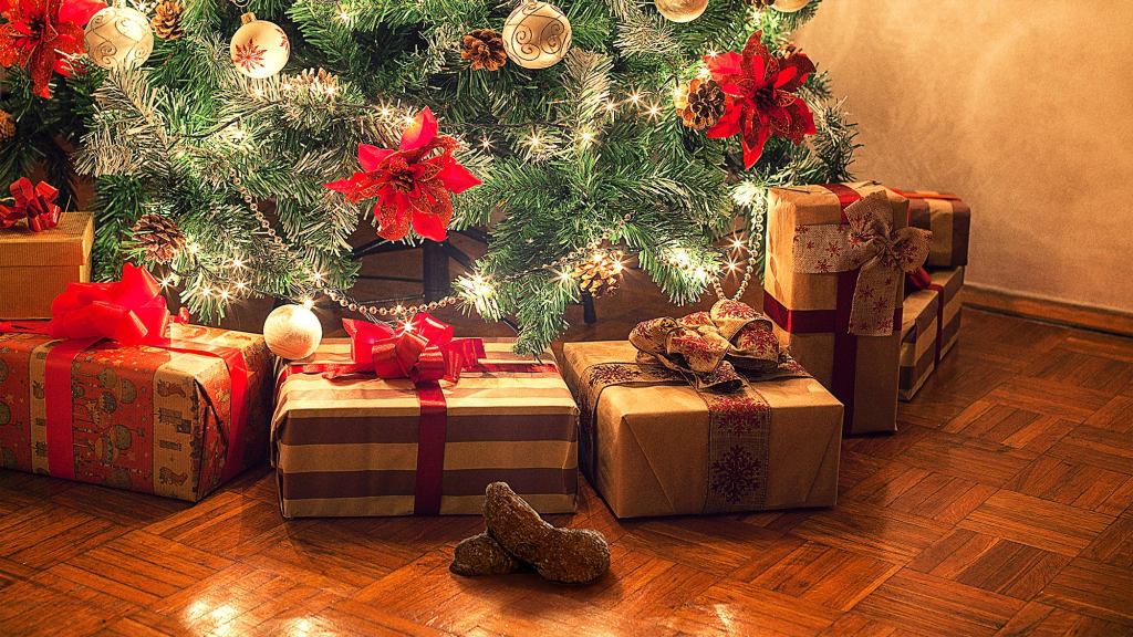 Parents Get Up Early To Place Santa Droppings Around Living Room To Convince Children He Visited