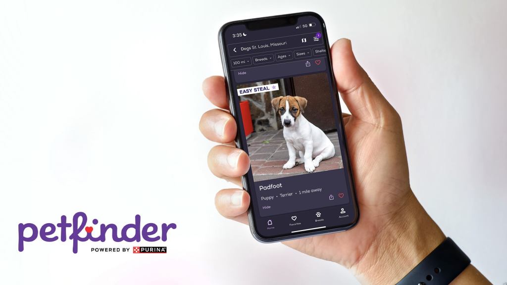 New Petfinder Feature Allows Users To Browse Dogs That Already Have Homes But Would Be Easy To Steal