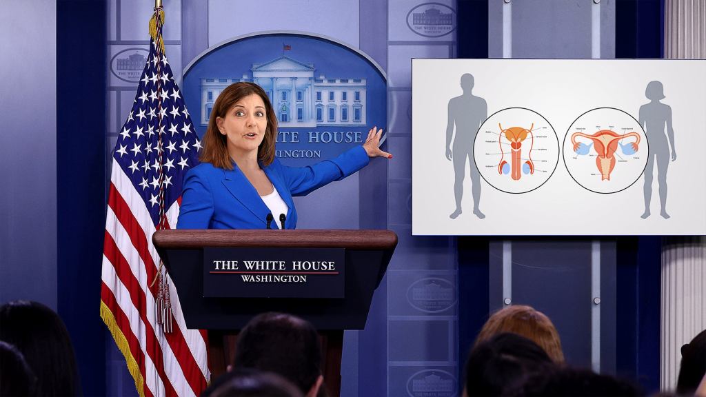 CDC Addresses Plummeting Birth Rate With New Campaign Reminding Americans What Genitals Do