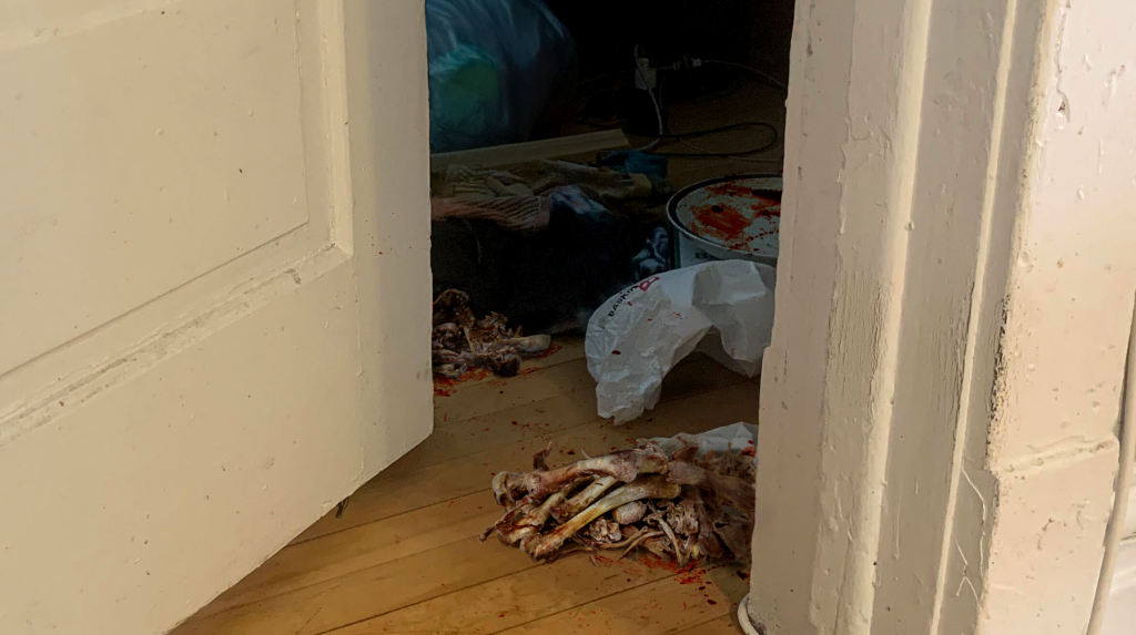 Deep Bellow Of ‘I’m Hungry!’ Rolls Out Of Teenage Son’s Animal-Bone-Filled Den