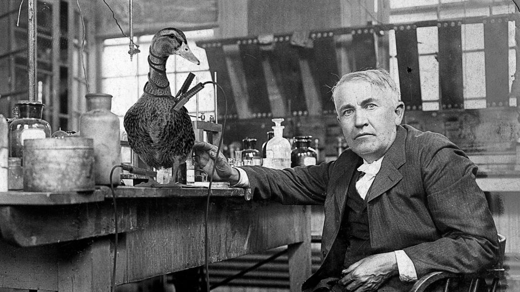 Nation Celebrates 150th Anniversary Of Thomas Edison Inventing Electrical Duck