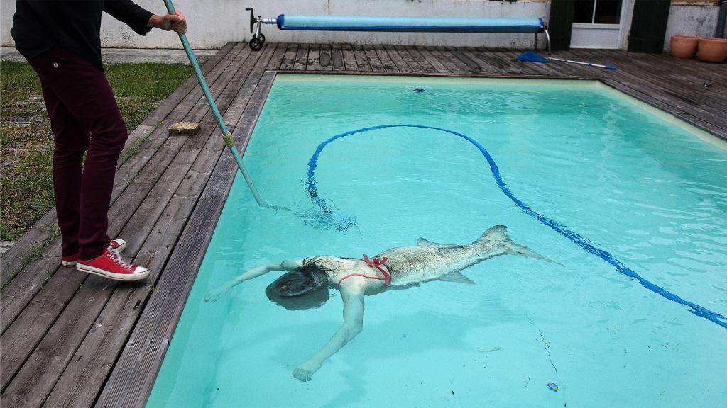 Dad Removing Pool Cover Gags After Finding Dead Mermaid