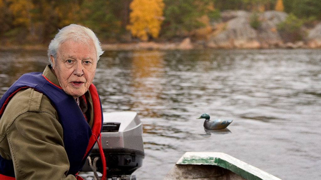 Embarrassed David Attenborough Realizes He Spent 10 Minutes Describing Stillness Of Duck Decoy