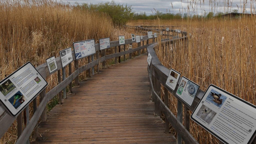 Ambitious Nature Center Squeezes 25 Informational Placards Out Of Sad Little Marsh