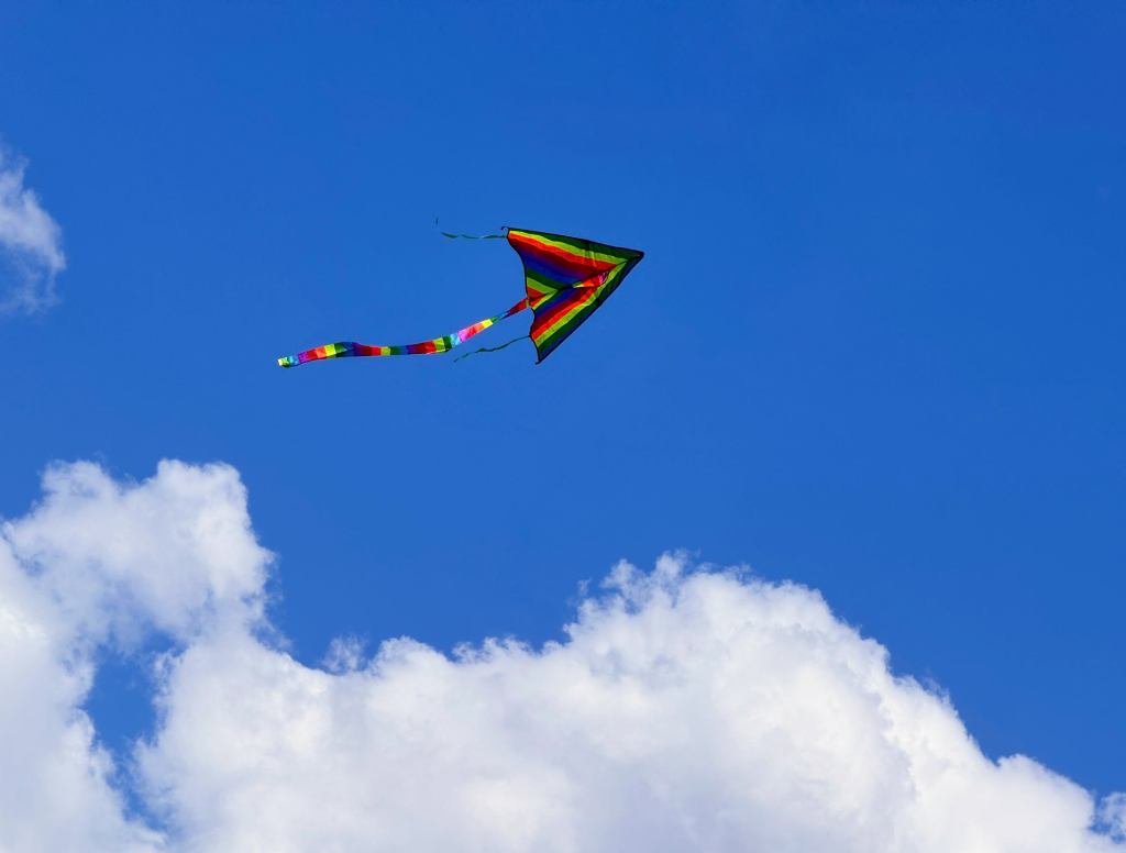 ‘Kite,’ Report 340 Million Americans Pointing At Sky