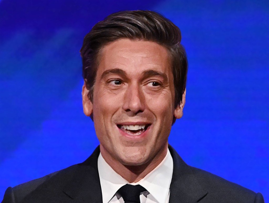 David Muir: 'Yes, My Penis Is As Beautiful As You Think. Now Let's Start  The Debate.' - The Onion