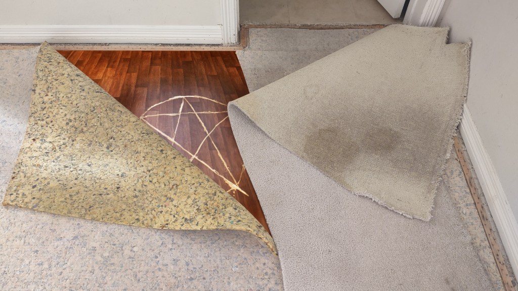 New Homeowners Thrilled To Find Pentagram Carved Into Hardwood Floor Under Carpet