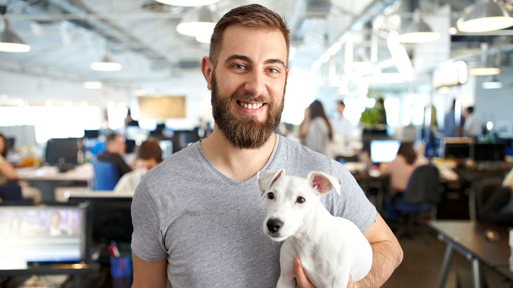 Man Thinks His Dog Is Office Mascot